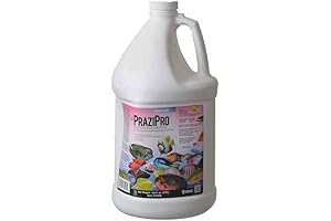 Hikari Aquarium Solutions Prazi 1 Gallon