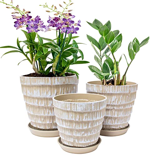 Pots de Fleurs Ø 19/16,5/14 cm Pots à Plantes Interieur en Plastique avec Trous de Drainage et Soucoupe Pot de Semis pour Jardin pour Plantes d'intérieur, Herbes, Cactus, orchidées, Plantes Grasses Cover