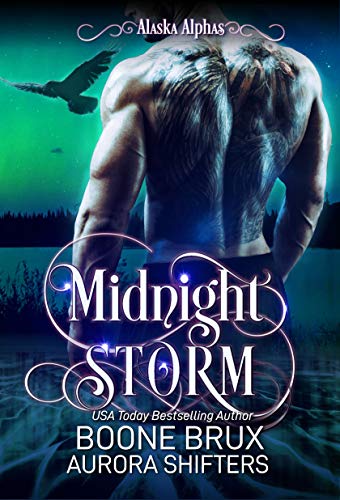 Cover zum Buch Midnight Storm