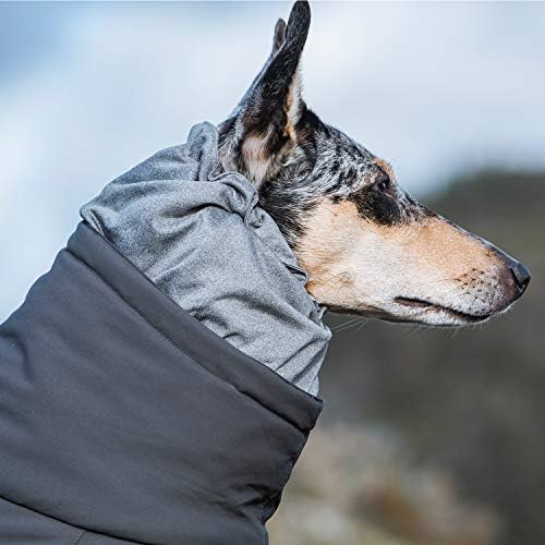 hurtta dog snowsuit