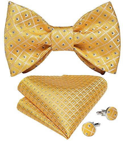 Image of DiBanGu Men Bow Tie Paisley Striped Self-Bow Tie for Men and Silk Woven Bowtie Pocket Square Cufflinks Wedding Party