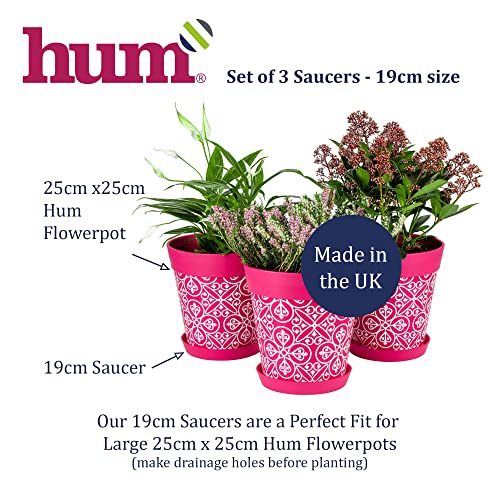 Hum Flowerpots Pack of 3 Saucers, Sturdy Drip Trays, Choice of Size and Colour, for Outdoor/Indoor Plant Pots - 19cm Pink - Image 3