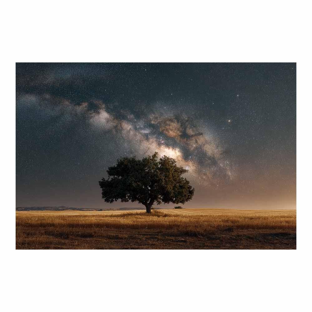 DMZPKZB Tree Of Life Large Wall Art Fiery Purple Tree Colorful Canvas Art Prints,Abstract Painting,Scenery Wall Decor,For Gallery,Bedroom,Living Room And Hotel(Multicolor)-50x70cm Unframed