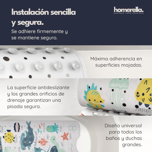 Miniatura 4 de 
