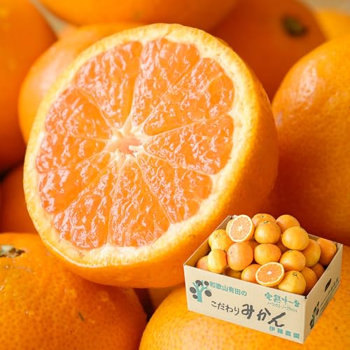 ɓ_ I Lc݂ (~bNX2.5kg) Εl Ή\   Ӑ k lC Â a̎R Y Ε Ε