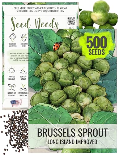 Seed Needs, Long Island Improved Brussels Sprout Seeds - 500 Heirloom Seeds for Planting Brassica...