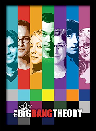 The Big Bang Theory 30 x 40 cm señales impresión enmarcada