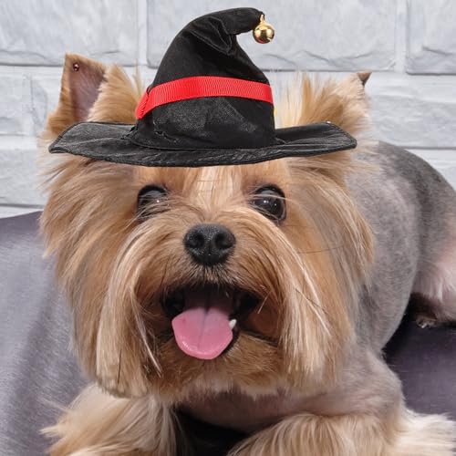 Disfraz Halloween para Perros con Alas de Murciélago y Banda miniatura 5