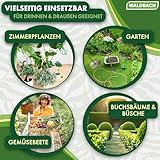 WALDBACH® Neemöl mit Emulgator [1000ml] - Natürliches Neemöl für Pflanzen mit Sprühflasche und Messbecher - 100 Liter sprühfertige Mischung - Effektive Pflanzenpflege für Garten- & Zimmerpflanzen