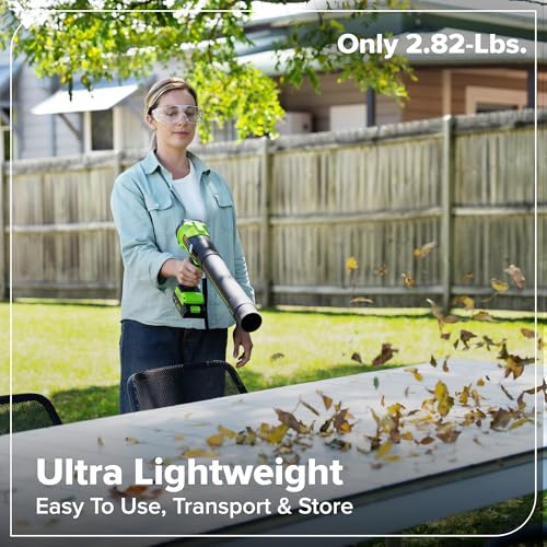 Image of Greenworks 24V Handheld Leaf Blower, 270 CFM, Tool Only