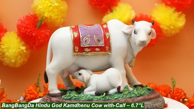 Estatua Kamdhenu Cow with Calf de Dios Hindú 6.7 in miniatura 7