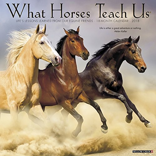 What Horses Teach Us 2018 Calendar