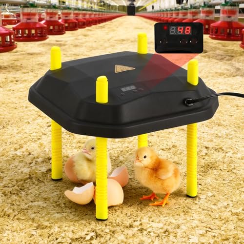 Vignette produit