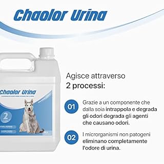Detergente Enzimatico elimina odori pipi cane / gatto | Spray Enzimatico elimina odore urina cane e gatto Detergente Enzimatico per tessuti mobili tappeti parete Detergente enzimatico ciao odori 5L