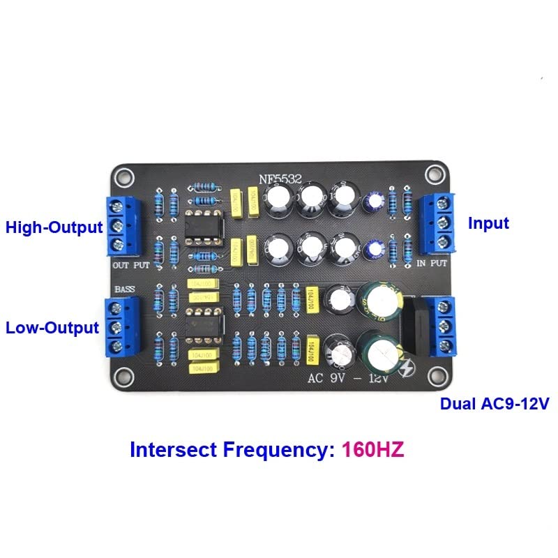 Filtro a 2 vie 160Hz Crossover elettronico attivo NE5532 PreAMP Divisore di frequenza