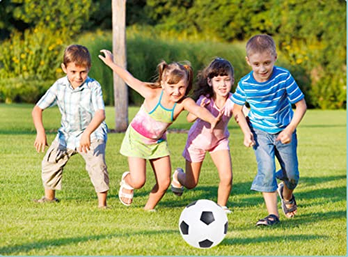 Spdtech Sports Balls With Hand Pump For Kids And Toddlers - (Pack Of 2) 6-Inch Diameter Rubber Sport Ball Set Includes Soccer Ball, Basketball For Fun Outdoors And Backyard #TOP2