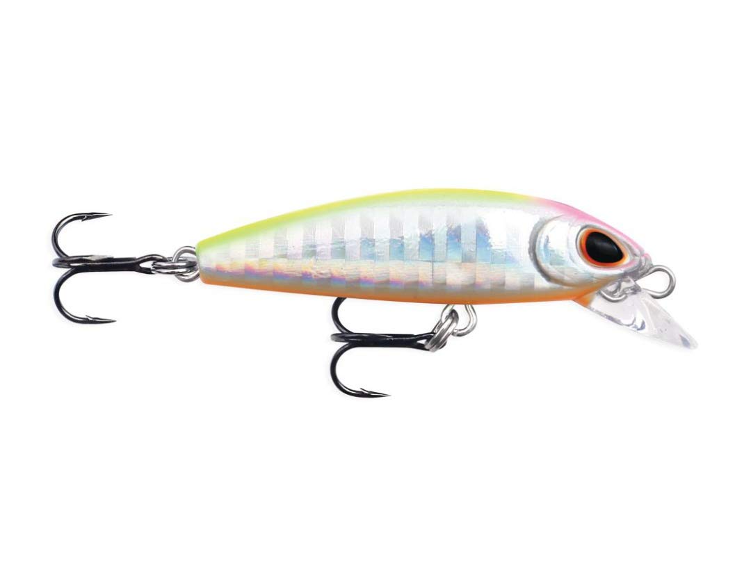 Rapala Dense Sinking Sert Balık, Küçük, Ağır, Spin Avcılığı İçin İdeal, Hızlı Aksiyon, Tüm Sularda Etkili, VMC İğne Dense Sinking Sert Balik Gümüş/Sarı/Turuncu/Pembe 6 gram, 4.8 cm