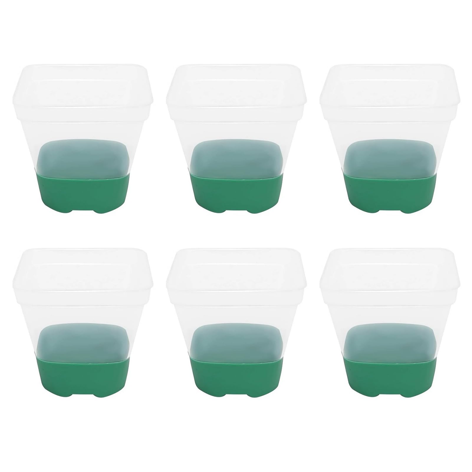 TWISAXC 6pack/lot Clear Plant Pots With Labels Transparent Flower Pot For Orchids Acrylic Plant Pots With Drainage Pothos, greener