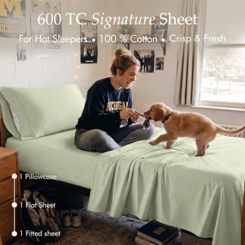 Image of Threadmill 600TC Cotton Twin Sheet Set, Sateen, Damask Stripe, Sage Green