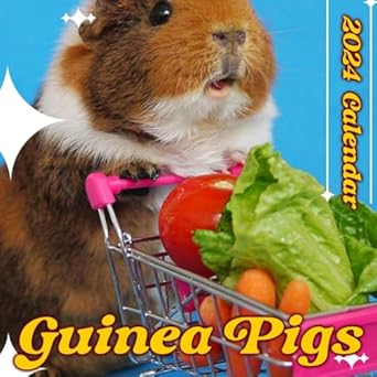 Amazon com: Guinea Pigs Calendar 2024: 12 Month Calendar January to Amazon com: Guinea Pigs Calendar 2024: 12 Month Calendar January to