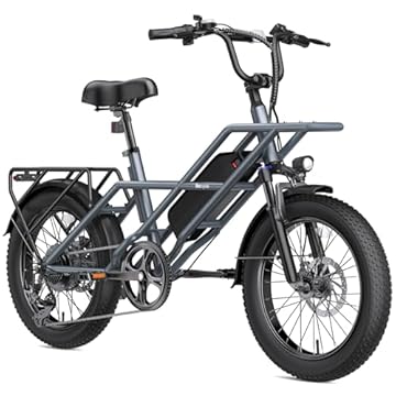 e bike with the longest range