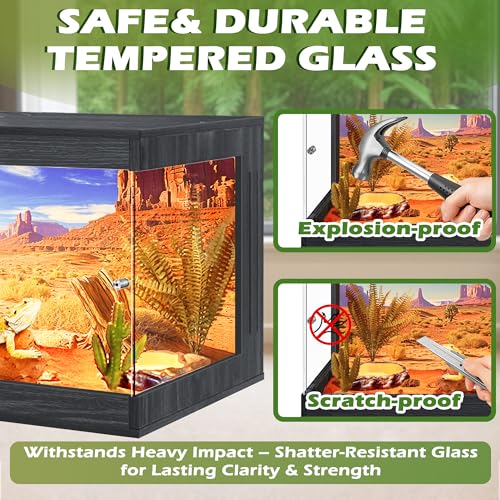 Image of ROYXEN Reptile Enclosure,31 Gallons Reptile Tank with Wooden Top and Lockable Design,Tempered Glass Bearded Dragon Tank for Lizard Gecko Habitat (Black,24 inch Length)