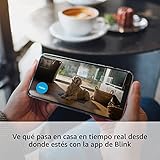 Blink Mini 