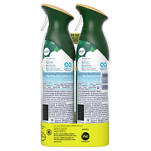 Image of Air febreze Spray Fresh Cut Pine, Holiday Collection, 8.8 Ounces (2 Pack)