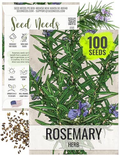 Seed Needs Rosemary Seeds for Planting - Non-GMO Heirloom &