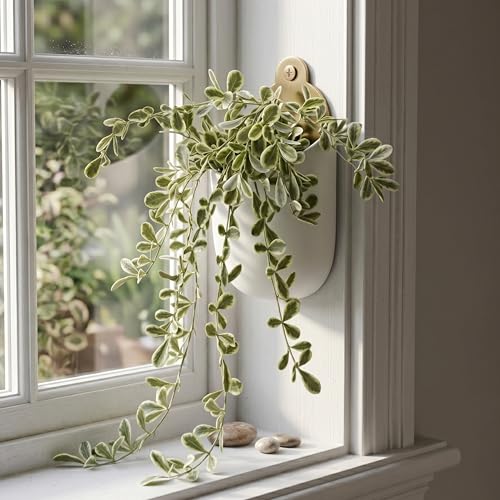 Image of Dekorly 2 Pack Artificial Plants Artificial Hanging Plants Faux Eucalyptus Leaf Greenery Fake Hanging Eucalyptus Plant (Green) (2, Cherry) (2, White and Green)