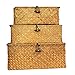 YSGLIFE Set di 3 Cesto Portaoggetti con Coperchio Rettangolare in Rattan Vimini Intrecciato Seagrass Multiuso Scatole Organizer per Vestiti, Trucco, Libri e Scaffali (Arancione, Piccolo/Medio/Grande)