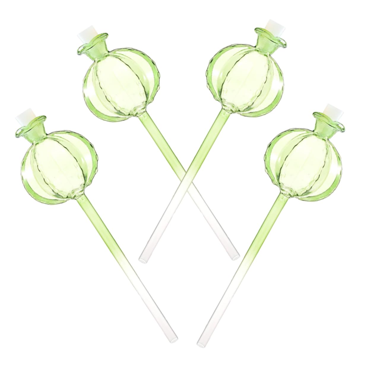 Globe D'arrosage Automatique Cactus Vert 4 Pièces en Verre Borosilicate