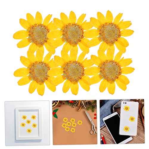 Flores prensadas naturales para manualidades 72 pcs miniatura 6