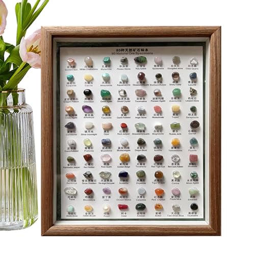 Colección de 80 especímenes minerales naturales, kit de identificación de minerales, piedras preciosas crudas, colección clásica de , juego clásico de en bruto en marco de madera para
