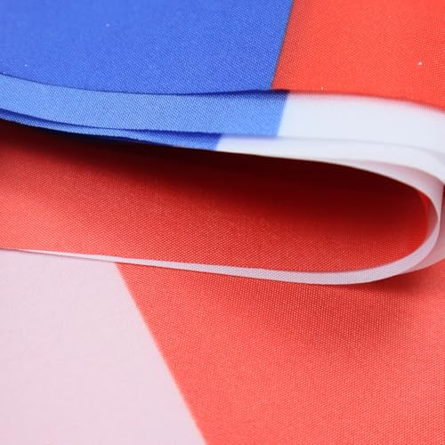 Image of AZ FLAG Texas 6 meters BUNTING Flag 20 flags 9'' x 6'' - Texan US state STRING flags 15 x 21 cm
