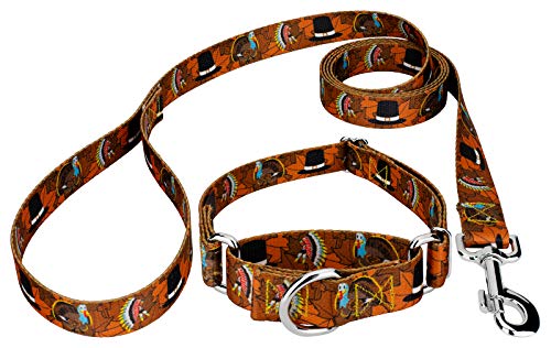 Country Brook Petz - Thanksgiving Tradition Martingale Dog Collar and Leash Set - Awesome Autumn Collection Featuring Designs You Will Fall for (1 Inch, Large)