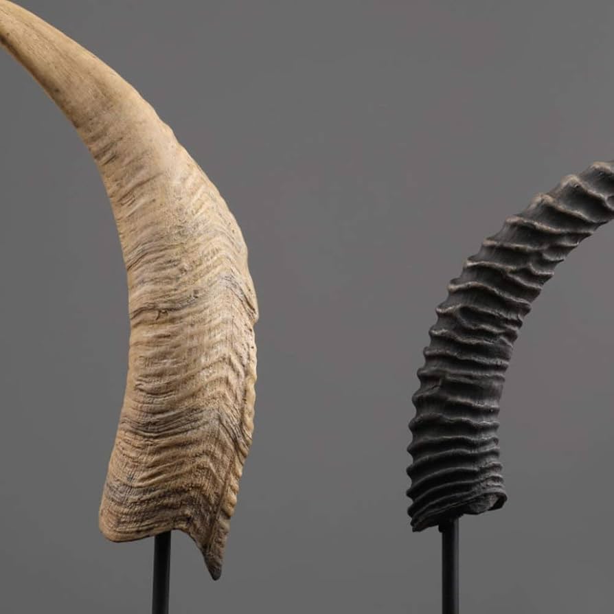 Amazon.co.jp: 牛の角の彫像、長い雄牛の角の置物樹脂アート彫刻