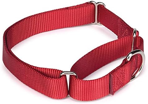 Guardian Gear Asst Color Bulk Martingale Dog Collars Shelter Rescue Litter Pick Size/Quantity (10-16 Inch 5 Collars)