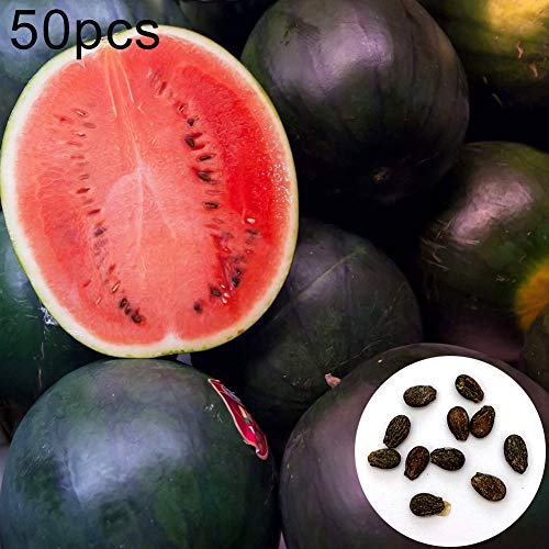 Verlike 50Pcs Watermelon Seeds Easy Grow Sweet Summer Fruit Garden Yard Farm Field Plant, Seeds for Plainting, Easy to Grow Flower Plants Seeds Watermelon Seeds