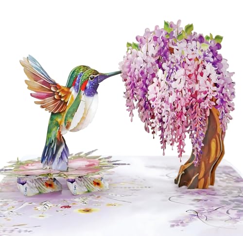 CUTPOPUP Humming Bird Wisteria Pop Up Birthday Cards for Women 3D Birthday Flowers Greeting Card for Her Wife Mum Valentines Card Anniversary Happy Mothers Day Cards (Wisteria) US8-AN162UK