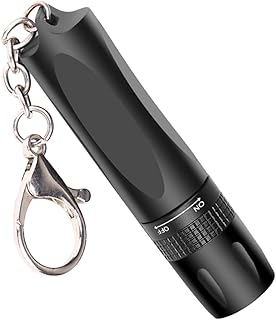 OSALADI Handheld Flashlight Pocket Flashlight Small LED Flashlight Pen Light Tiny LED Keychain Keychain Torch Key Chain Small Flashlight Keychain LED Flashlight Keychain Miniature LED
