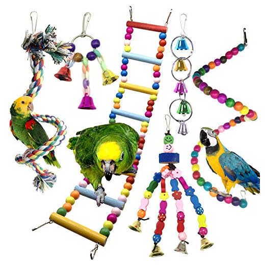 PietyPet Fågel papegoja leksaker för burar, 6 st färgglada tuggande hängande gunga husdjur fågel leksak med klockor, trä stege hängmatta, rep abborre, fågelbur stativ för liten fågel