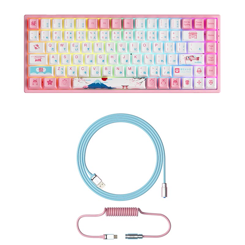 Akko World Tour Tokyo 75% 3084B Plus 84-Key RGB Hot-swappable Mechanical Gaming Keyboard(Akko Jelly 