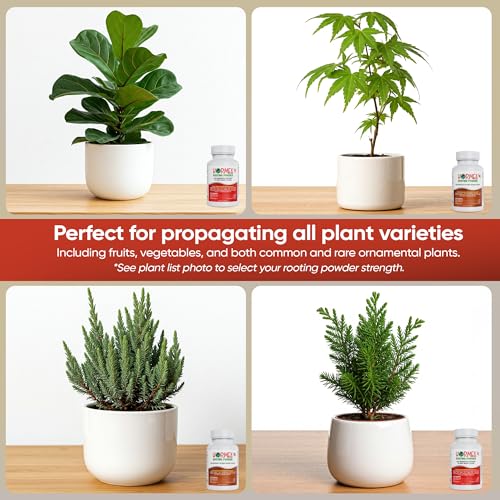 Image of Hormex Rooting Hormone Powder #8, #16 - Fast Roots for Woody Plant Cuttings