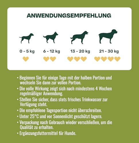 Gooddy – Probiotische & Präbiotische Snacks für Hunde, 85 Stück (300 g) – Mit Vitamin B12 & B9, Glutamin & Zink – Unterstützt Verdauung, Darmflora, Darmschleimhaut & Immunsystem – Gegen Durchfall