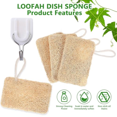 Miniatura 3 de 8 Estropajos Biodegradables De Luffa Natural, Fibras Naturales Para Compost, Estropajo Cocina, Estropajo Natural