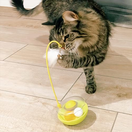 Les pattounes de G&C Jouet Chat Interactif 2 pièces - Boîte Duo Spéciale Jeu - Peluche Herbe à Chat - Chaton- Intérieur - Stimulant – Image 5