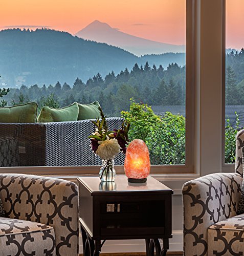 Greenco Natural Himalayan Salt Lamp, 6-11 Lbs | Lava Lamp, Sea Salt Rock Crystal Lamp, Salt Lamps, Night Light | Household, Bedrooms, Home Decor #TOP1