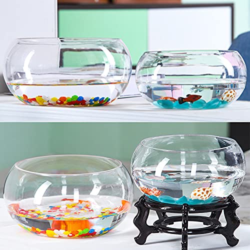Amazon | 金魚鉢 ミニ魚タンク 水槽 花瓶丸型 ガラス 透明 ガラス 小