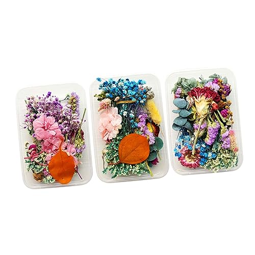 Flores secas reales decorativas aromáticas en caja x3 miniatura 1